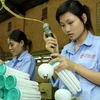 Sản xuất bóng đèn huỳnh quang compact tại Công ty cổ phần Bóng đèn Phích nước Rạng Đông, Hà Nội. (Ảnh: Trần Việt/TTXVN)