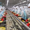 Chế biến tôm đông lạnh xuất khẩu tại nhà máy ở khu công nghiệp phường 8, thành phố Cà Mau. (Ảnh: Trần Việt/TTXVN)