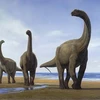 Phác họa loài khủng long Camarasaurus. (Nguồn: dinosaurs.wikia.com) 