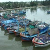 Tàu thuyền của ngư dân vùng biển Cửa Việt, huyện Gio Linh, Quảng Trị đã về nơi trú tránh bão an toàn. (Ảnh: Hồ Cầu/TTXVN)