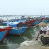 Ngư dân ở thị trấn Cửa Tùng, huyện Vĩnh Linh, tỉnh Quảng Trị neo đậu tàu thuyền tránh bão. (Ảnh: Hồ Cầu/TTXVN)