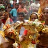 Đám cưới của cặp đôi ếch tại Ấn Độ. (Nguồn: Internet)