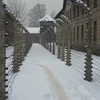 Hàng rào dây kẽm gai ở trại tập trung Auschwitz. (Nguồn: blogspot.com)