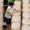 Làng nghề bánh tráng Lục Sĩ Thành (Trà Ôn) tạo thêm thu nhập cho lao động nông thôn. (Nguồn: Báo Vĩnh Long)