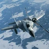 Máy bay tiêm kích MiG-29UPG. (Nguồn: militarydesktop.com)
