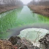 Nước sông ô nhiễm đã chuyển sang màu xanh lục. (Nguồn: Mainichi) 
