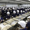 Công nhân Philippines đang làm việc tại một nhà máy. (Ảnh: AFP)