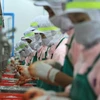 Các công nhân làm việc tại một nhà máy thực phẩm của Thái Lan. (Nguồn: bangkokpost.com)