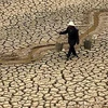 Một nông dân tìm kiếm nước trong một con sông cạn tại tỉnh Vân Nam. (Nguồn: EPA)
