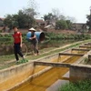 Người dân Thạch Sơn (Lâm Thao, Phú Thọ) chở thùng phuy đi lấy nước sinh hoạt. (Ảnh: Internet)