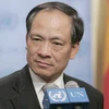 Đại sứ Lê Lương Minh.