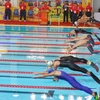 Các vận động viên tranh tài môn lặn tại AIG III. (Ảnh Hồng Kỳ/TTXVN) 