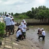 Người dân tham gia chương trình tập huấn trồng rừng ngập mặn ven biển ở huyện Hòn Đất. (Ảnh: Ngọc Dung/Vietnam+)
