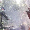 Lực lượng chức năng tham gia bảo vệ rừng. (Ảnh: Bùi Thanh Hải/Vietnam+)