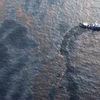 Dầu loang trên vịnh Mexico. (Nguồn: Getty Images)