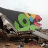 Xác chiếc máy bay bị nạn. (Ảnh: AFP/TTXVN)