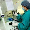 Việt Nam sẽ nâng cao năng lực các phòng xét nghiệm, chẩn đoán cúm A/H7N9. (Ảnh: Dương Ngọc/TTXVN)