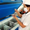 Nhân viên y tế tại tỉnh Nghệ An kiểm tra hạn sử dụng, nhiệt độ bảo quản vắcxin. (Ảnh: Dương Ngọc/TTXVN)