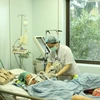 Điều trị cho bệnh nhân tại Bệnh viện Bệnh nhiệt đới Trung ương. (Ảnh: Anh Tuấn/TTXVN)