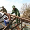 Bộ đội Biên phòng tỉnh Quảng Nam giúp đỡ nhân dân sửa chữa nhà cửa do hậu quả của cơn bão số 9 gây ra. (Ảnh: Huy Hùng/TTXVN)