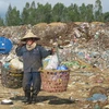 Mưu sinh trên bãi rác. (Ảnh: Nguyễn Sơn/Vietnam+)