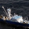 Một con tàu từng bị hải tặc Somalia bắt cóc. (Ảnh: AP)