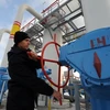 Đường ống dẫn khí tại nhà máy nén khí ở Mryn, vùng Chernigiv, cách thủ đô Kiev khoảng 130km. (Ảnh AFP/TTXVN)