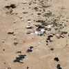 Dầu vón cục rải đầy trên bãi biển xã Tiến Thành. (Ảnh: Nhandan.com.vn)