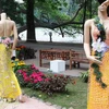Bộ sưu tập áo dài kết bằng hoa khô tại phố hoa Hà Nội năm 2009. (Ảnh: Phương Hoa/TTXVN)