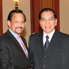 Tổng Bí thư Nông Đức Mạnh tiếp Quốc vương Brunei Haji Hassanal Bolkiah. (Ảnh: Đinh Xuân Tuân/TTXVN)