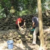 Các nhà khảo cổ bên một đoạn tường lũy vẫn còn khá nguyên vẹn. (Nguồn: Baoquangngai.com.vn)