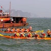 Đua thuyền trong ngày lễ hội du lịch Hạ Long 2010. (Ảnh: Thanh Hà/TTXVN) 