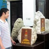 Các tảng đá san hô biểu tượng chủ quyền quần đảo Trường Sa tại Bảo tàng tỉnh Quảng Ninh. (Ảnh: Đinh Mạnh Tú/TTXVN) 