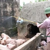Phun thuốc tiêu độc, khử trùng chuồng trại chăn nuôi lợn. (Ảnh: Hoàng Mạnh Hùng/TTXVN) 