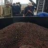 Lắp ráp, đưa vào hoạt động thiết bị chế biến cà phê ướt tại huyện Chư P Rông tỉnh Gia lai. (Ảnh: Sỹ Huynh/TTXVN) 