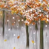 Một phần tác phẩm "Rừng cây mùa đông" đã từng đoạt huy chương vàng FIAP của tác giả Jan Cawley (Anh). (Ảnh: Nhật Anh/TTXVN)