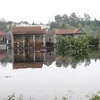 Mưa lũ gây ngập lụt ở Quảng Bình. (Ảnh: Hồ Cầu/TTXVN)