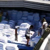 Công ty lương thực Sông Hậu thành phố Cần Thơ xuất khẩu gạo. (Ảnh: Đình Huệ/TTXVN)