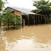 Ngập lụt ở Triệu Phong. (Ảnh: Hồ Cầu/TTXVN)