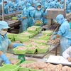 Một mặt hàng xuất khẩu chính của Việt Nam là thủy sản. (Ảnh: Duy Khương/TTXVN)