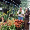 Khách hàng mua hoa tại quận Gò Vấp. (Ảnh: Kim Phương/TTXVN)
