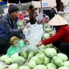Mua bán rau tại chợ đầu mối phía Nam Hà Nội. (Ảnh: An Đăng/TTXVN)