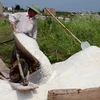 Sản xuất muối tại Nam Định. (Ảnh: An Đăng/TTXVN)