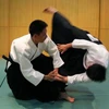 Biểu diễn võ Aikido. (Ảnh: Ngọc Hà/TTXVN)