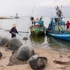 Ngư dân Phú Quốc (Kiên Giang) chuẩn bị đánh bắt cá. (Ảnh: Ngọc Hà/TTXVN)