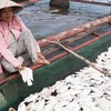 Cá chết trắng hồ. (Nguồn: baobinhduong.org.vn)