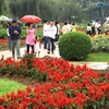 Giới thiệu các loại hoa ở thành phố Đà Lạt. (Ảnh: Bùi Tường/TTXVN)