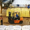 Bốc xếp vận chuyển sản phẩm vào kho ở Công ty phân đạm Hà Bắc, Bắc Giang. (Nguồn: Nhandan.org.vn)
