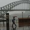 Cây cầu Sydney Harbour. (Nguồn: Getty Images)