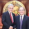 Chủ tịch Quốc hội Nguyễn Sinh Hùng hội kiến Tổng thống Cộng hòa Chile. (Ảnh: Nhan Sáng/TTXVN)